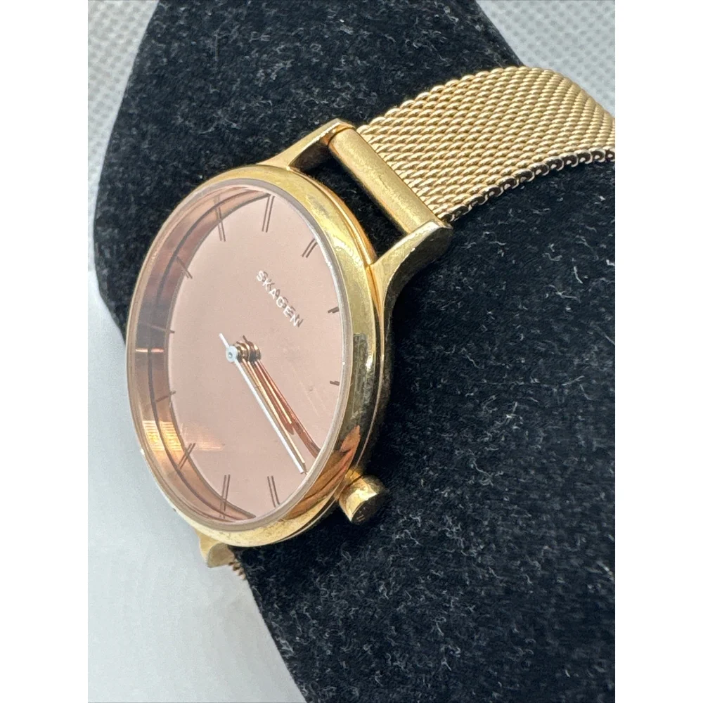 Skagen Anita SKW2413 Women's Gold Stainless Steel Mesh Analog Dial Watch AEA303